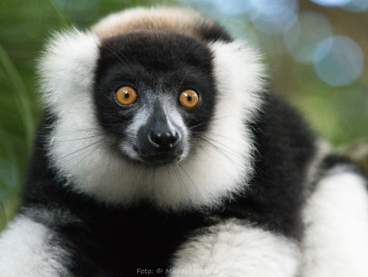 Madagaskar (Foto: Michael Weichinger)