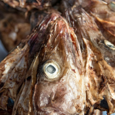 Norwegen, Troms og Finnmark, Trockenfisch (Foto: Christine Emberger, ARR Reisen)
