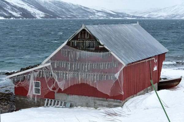 Norwegen, Insel Senja (Foto: Christine Emberger, ARR Reisen)