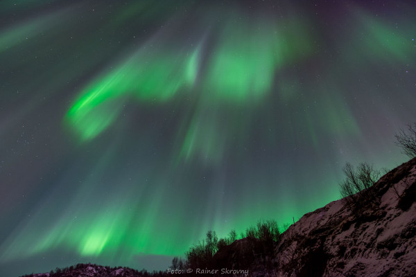 Norwegen, Insel Senja, Nordlicht (Foto: Rainer Skrovny, ARR Reisen)