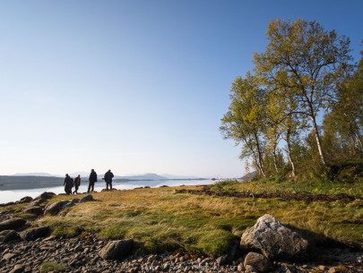 Norwegen, Insel Senja (Foto: Rainer Skrovny, ARR Reisen)