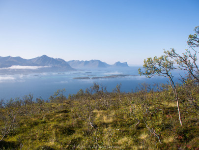 Norwegen, Insel Senja (Foto: Rainer Skrovny, ARR Reisen)