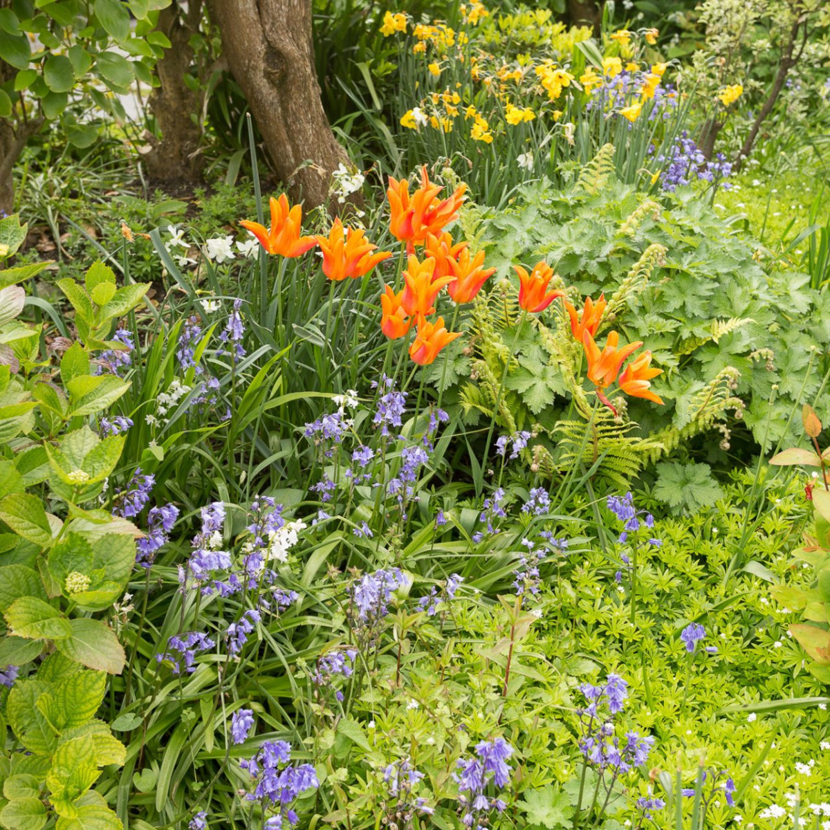 Fotoreise Englands schönste Gärten ARR Reisen Natur.Kultur.Foto