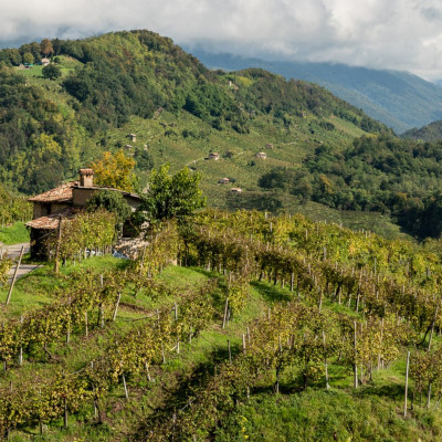Italien, Landschaft im Prosecco-Gebiet (Foto: Rainer Skrovny, ARR Reisen)