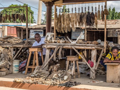 Togo - Benin, Fetischmarkt (Foto: Anton Schmoll)