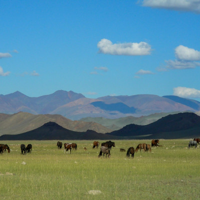 Mongolei (Foto: Herbert Nekam)