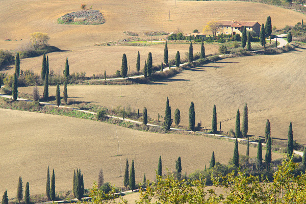 Foto: (c) Reinhard Wogritsch