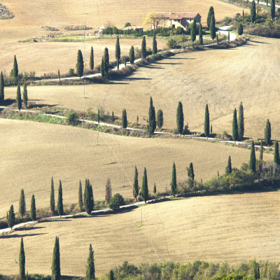 Foto: (c) Reinhard Wogritsch