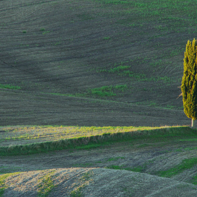 Foto: (c) Reinhard Wogritsch