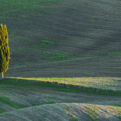 Foto: (c) Reinhard Wogritsch