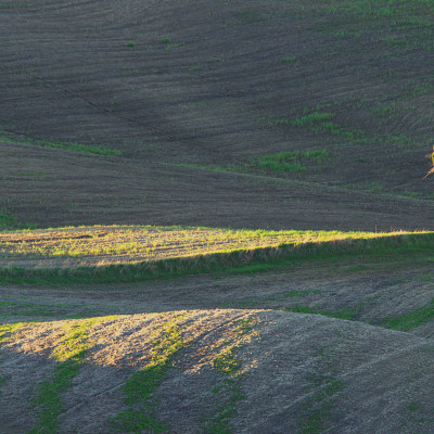 Foto: (c) Reinhard Wogritsch