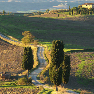 Foto: (c) Reinhard Wogritsch