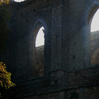 Foto: (c) Reinhard Wogritsch