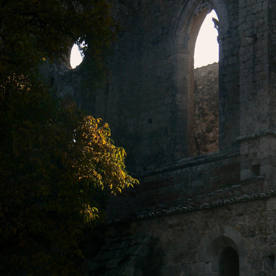 Foto: (c) Reinhard Wogritsch