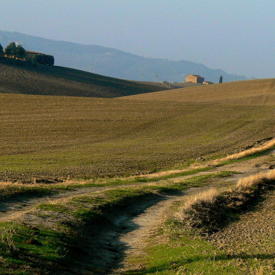 Foto: (c) Reinhard Wogritsch