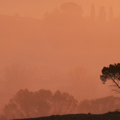 Foto: (c) Reinhard Wogritsch