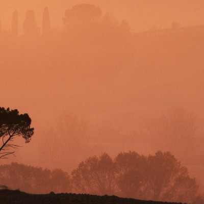 Foto: (c) Reinhard Wogritsch