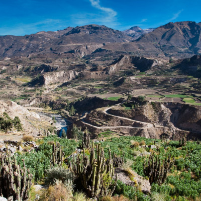 Peru, Colca-Canyon (Foto: Rainer Skrovny, ARR Reisen)