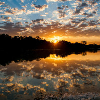 Brasilien, Pantanal (Foto: Rainer Skrovny, ARR-Reisen)