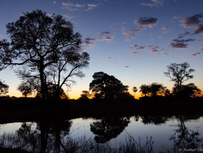 Brasilien, Pantanal (Foto: Rainer Skrovny, ARR-Reisen)