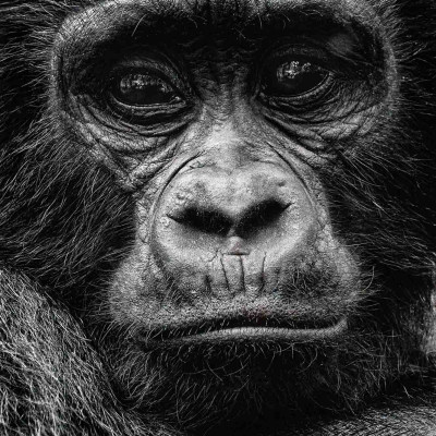 Foto: (c) Nicola Lederer