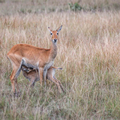 Foto: (c) Nicola Lederer