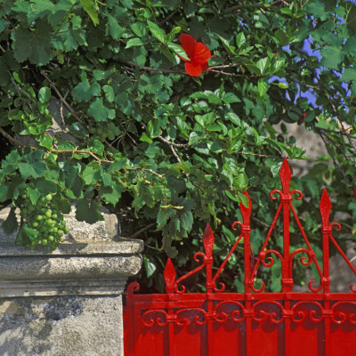 Italien, Kalabrien, bei Gerace, rote Gartentür mit Hibiscus