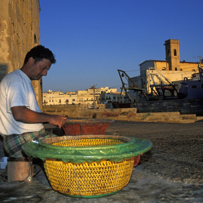 ein Fischer repariert sein Netz, Gallipoli, Apulien, Italien