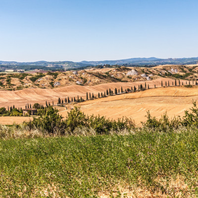 crete-senesi-2514402