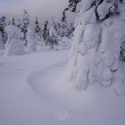 Winterliches Finnland Philipp Jakesch Photography (1)