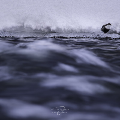 Winterliches Finnland Philipp Jakesch Photography (10)