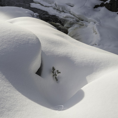 Winterliches Finnland Philipp Jakesch Photography (16)