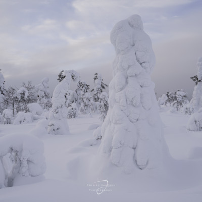 Winterliches Finnland Philipp Jakesch Photography (3)