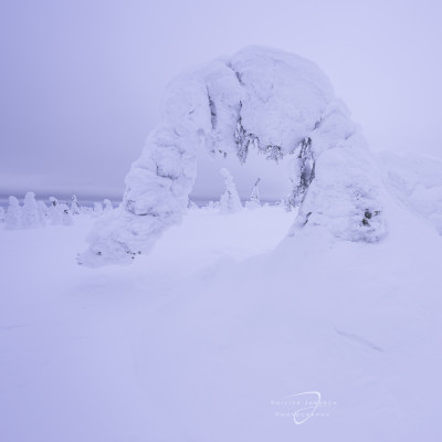 Winterliches Finnland Philipp Jakesch Photography (33)
