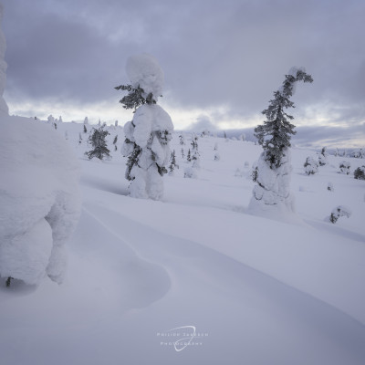 Winterliches Finnland Philipp Jakesch Photography (34)