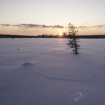 Winterliches Finnland Philipp Jakesch Photography (38)