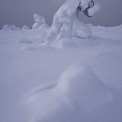 Winterliches Finnland Philipp Jakesch Photography (4)