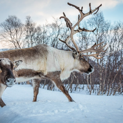 Fotoreise_Norwegen-103