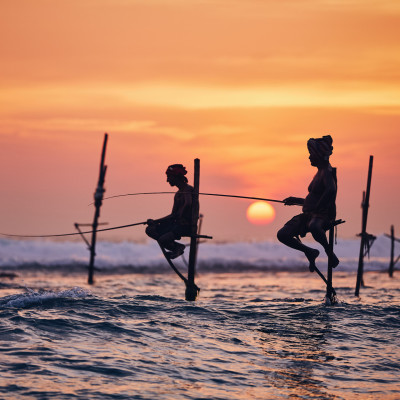 Traditional stilt fishing in Sri Lanka