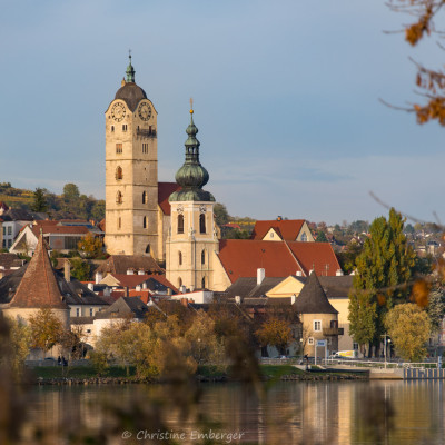 AT_2017_05943