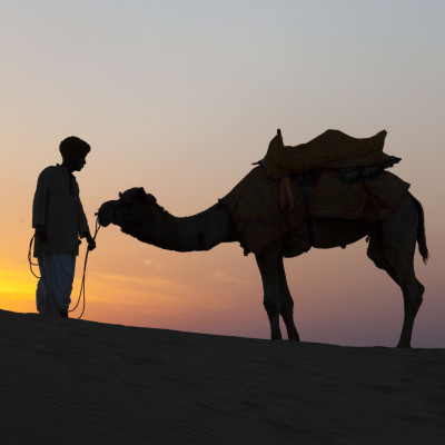 brenner_indien_2012_00810