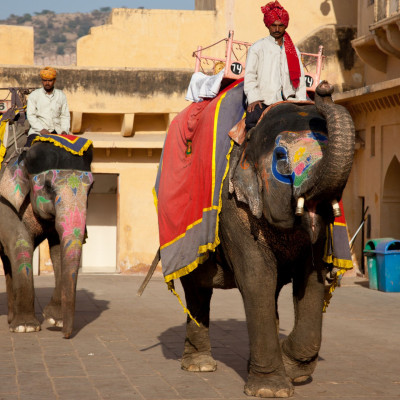 brenner_indien_2012_02234