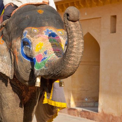 brenner_indien_2012_02237