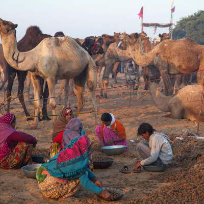 brenner_indien_Pushkar_Kamelmarkt_01