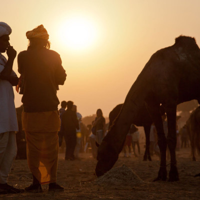 brenner_indien_Pushkar_Kamelmarkt_03