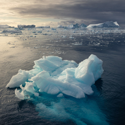 Foto: (c) Verena Streicher