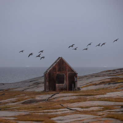 Foto: (c) Verena Streicher