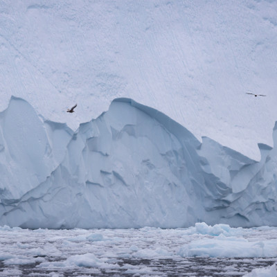 Foto: (c) Verena Streicher