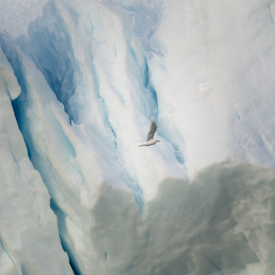 Foto: (c) Verena Streicher