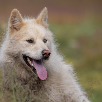 Foto: (c) Verena Streicher